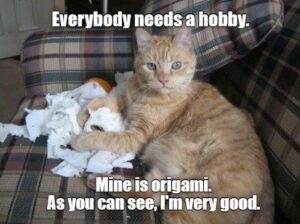 hobby